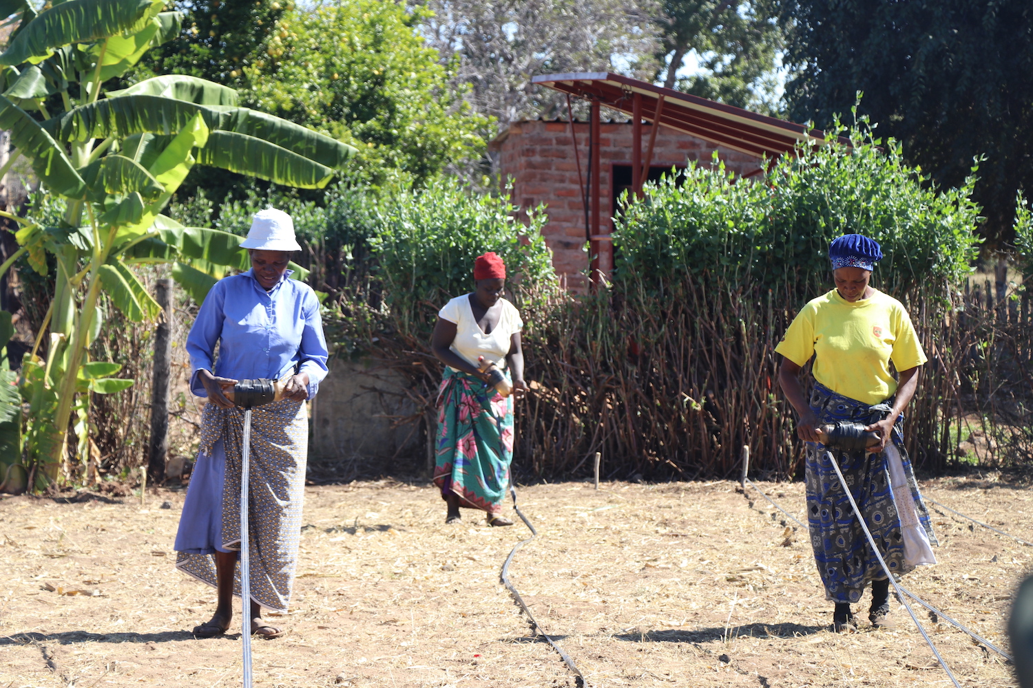 Improving Water Security and Reducing Deforestation | WWF Climate Crowd