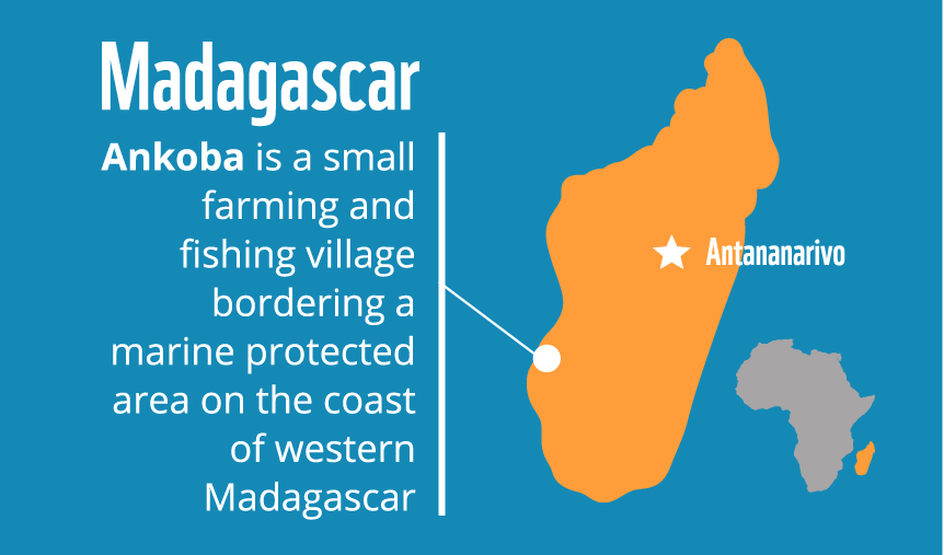 Madagascar-Seaweed farming-01