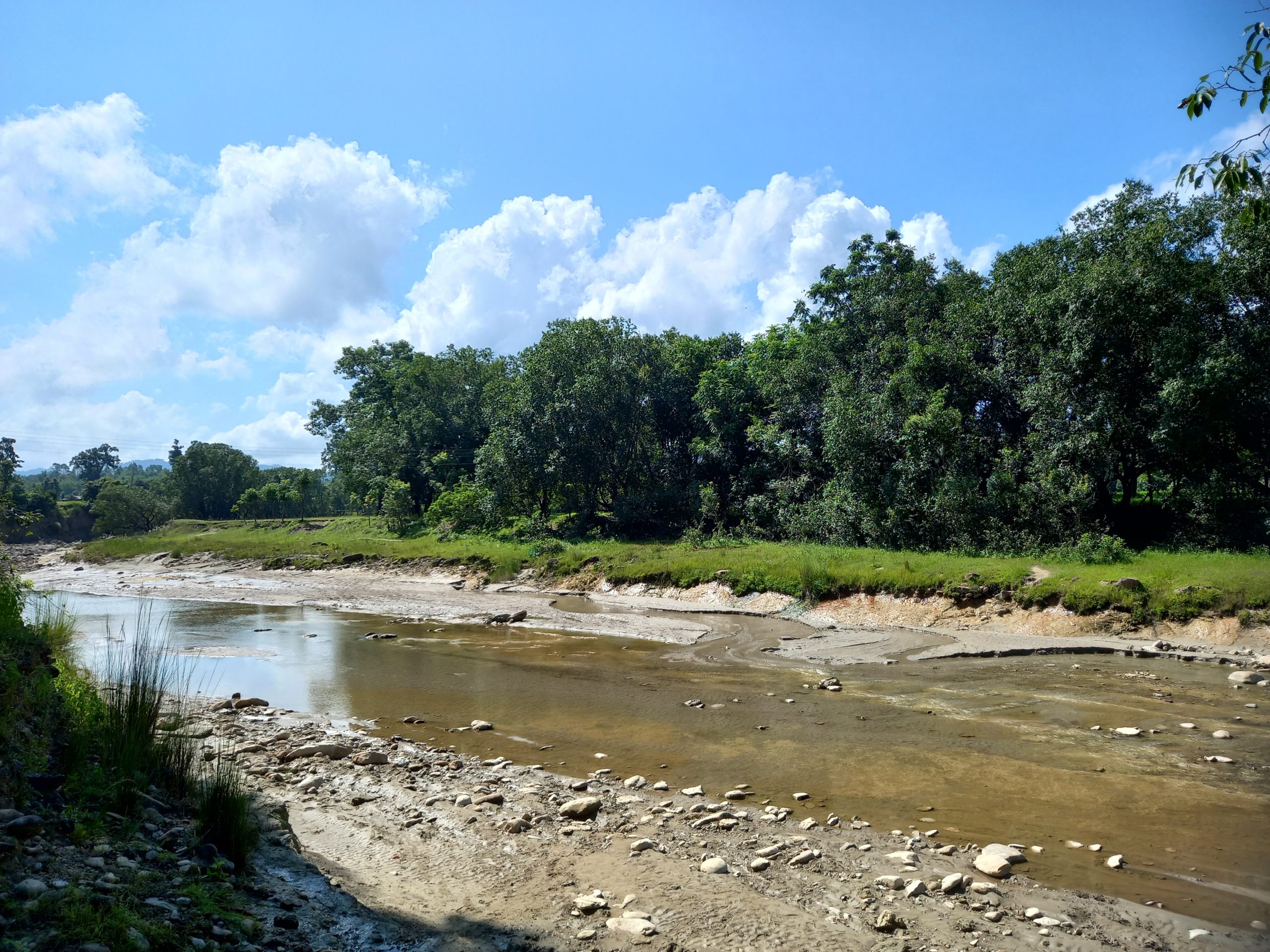 River cutting in Rapti river, Kamdi corridor area, Arati Khadgi, WWF Nepal (2)