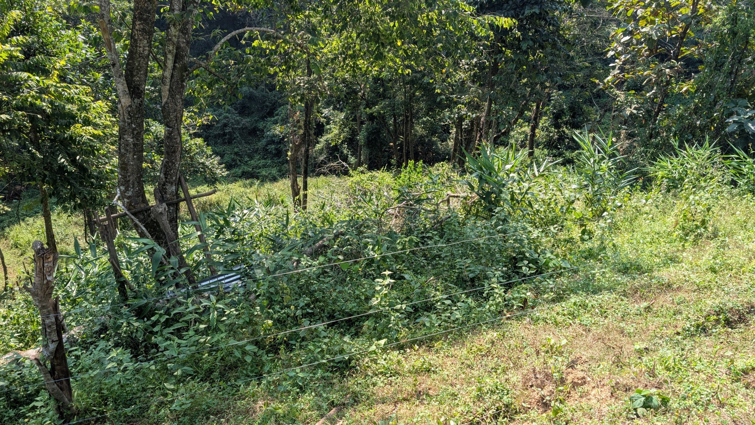 PXL_20251028_061004103