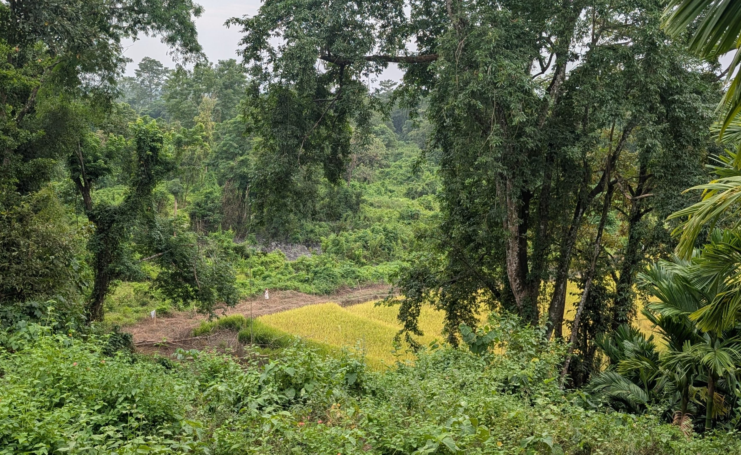 PXL_20251029_092039012 (1)