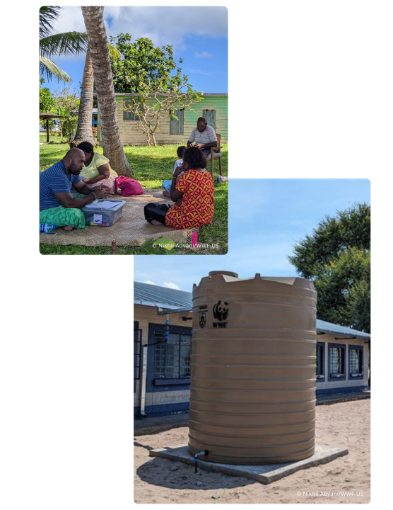 © Nikhil AdvaniWWF-US (1)